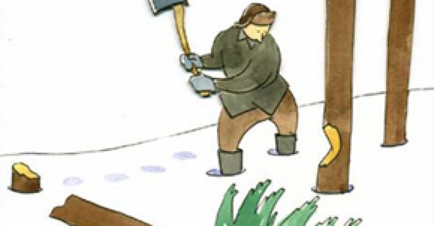 The story of a woodcutter img