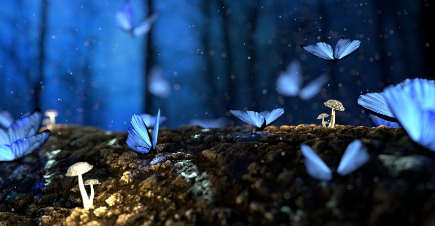 What’s the Purpose of Life ? 9 Golden Rules You Should Follow img
